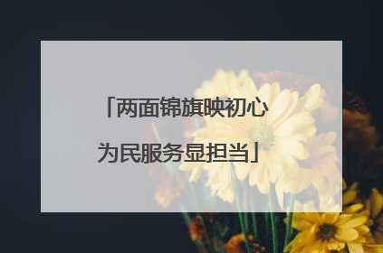 两面锦旗映初心 为民服务显担当