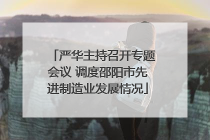 严华主持召开专题会议 调度邵阳市先进制造业发展情况