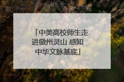 中美高校师生走进徽州灵山 感知中华文脉基底