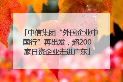 中信集团“外国企业中国行”再出发，超200家日资企业走进广东