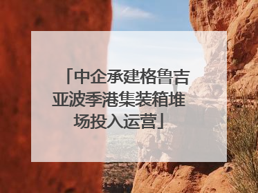 中企承建格鲁吉亚波季港集装箱堆场投入运营