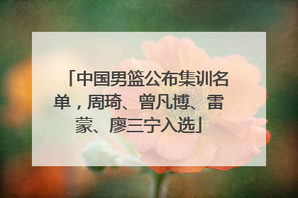 中国男篮公布集训名单，周琦、曾凡博、雷蒙、廖三宁入选