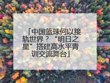 中国篮球何以接轨世界？“明日之星”搭建高水平青训交流舞台