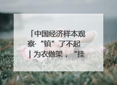 中国经济样本观察·“镇”了不起｜为衣做架，“挂”出来的80亿元“衣架产业”