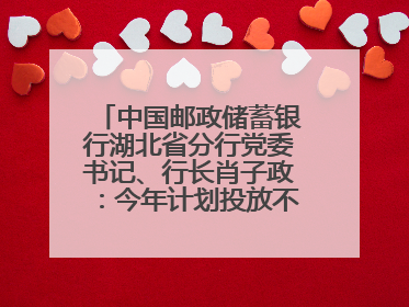 中国邮政储蓄银行湖北省分行党委书记、行长肖子政：今年计划投放不少于2000亿元支持支点建设