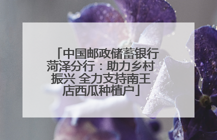 中国邮政储蓄银行菏泽分行：助力乡村振兴 全力支持南王店西瓜种植户