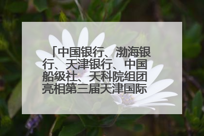 中国银行、渤海银行、天津银行、中国船级社、天科院组团亮相第三届天津国际航运展 输出航运服务“中国方案”
