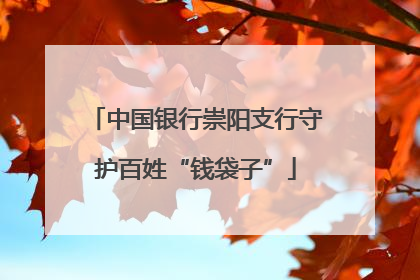 中国银行崇阳支行守护百姓“钱袋子”