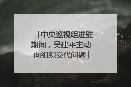 中央巡视组进驻期间，吴建平主动向组织交代问题