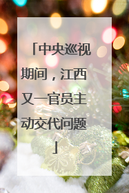 中央巡视期间，江西又一官员主动交代问题