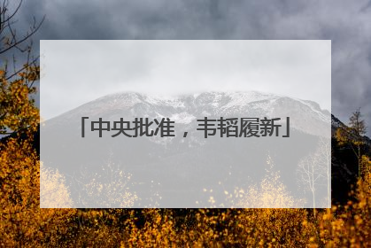 中央批准，韦韬履新