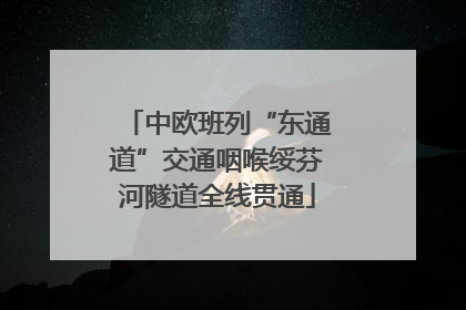 中欧班列“东通道”交通咽喉绥芬河隧道全线贯通