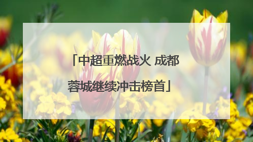 中超重燃战火 成都蓉城继续冲击榜首