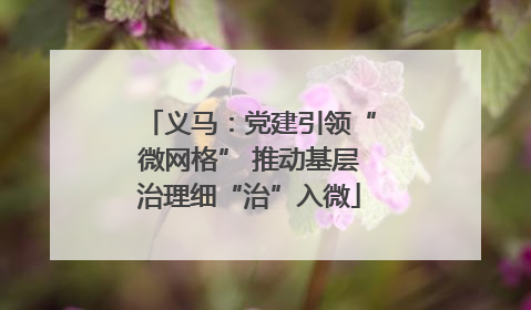 义马：党建引领“微网格” 推动基层治理细“治”入微