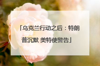 乌克兰行动之后：特朗普沉默 美特使警告