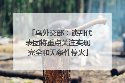 乌外交部：谈判代表团将重点关注实现完全和无条件停火