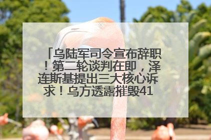乌陆军司令宣布辞职！第二轮谈判在即，泽连斯基提出三大核心诉求！乌方透露摧毁41架俄战略轰炸机