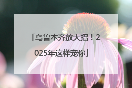 乌鲁木齐放大招！2025年这样宠你