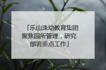 乐山洙幼教育集团聚焦园所管理，研究部署重点工作