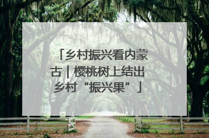 乡村振兴看内蒙古｜樱桃树上结出乡村“振兴果”