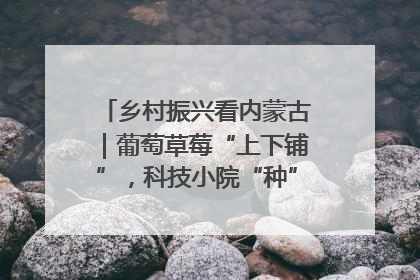 乡村振兴看内蒙古｜葡萄草莓“上下铺”，科技小院“种”出三倍效益