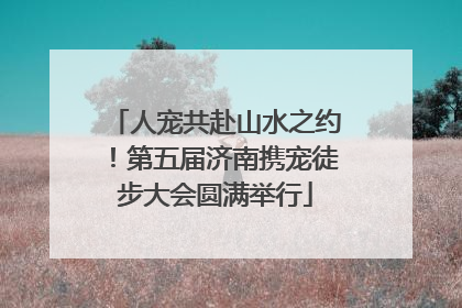 人宠共赴山水之约！第五届济南携宠徒步大会圆满举行