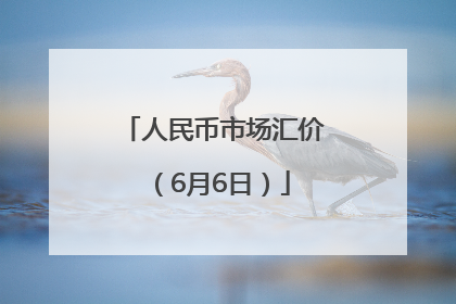 人民币市场汇价（6月6日）