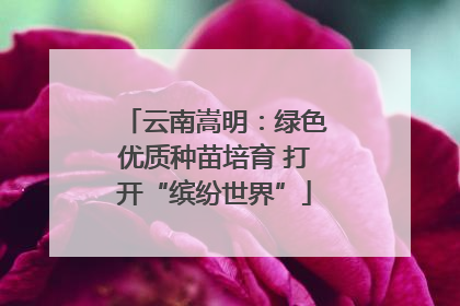 云南嵩明：绿色优质种苗培育 打开“缤纷世界”