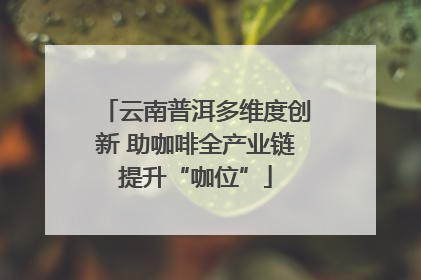 云南普洱多维度创新 助咖啡全产业链提升“咖位”