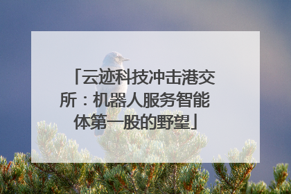 云迹科技冲击港交所：机器人服务智能体第一股的野望