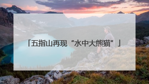 五指山再现“水中大熊猫”