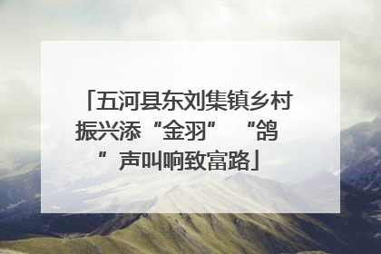五河县东刘集镇乡村振兴添“金羽” “鸽”声叫响致富路