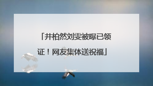 井柏然刘雯被曝已领证！网友集体送祝福