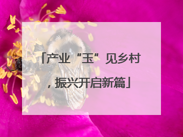 产业“玉”见乡村，振兴开启新篇