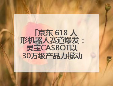 京东 618 人形机器人赛道爆发：灵宝CASBOT以30万级产品力搅动行业新变局