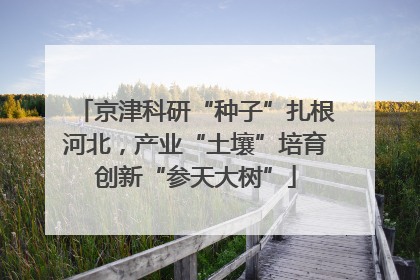 京津科研“种子”扎根河北，产业“土壤”培育创新“参天大树”