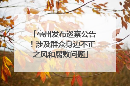 亳州发布巡察公告！涉及群众身边不正之风和腐败问题
