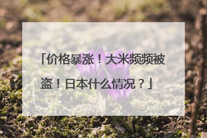 价格暴涨！大米频频被盗！日本什么情况？