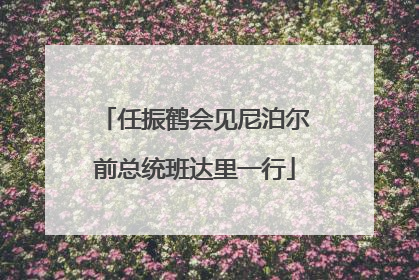 任振鹤会见尼泊尔前总统班达里一行