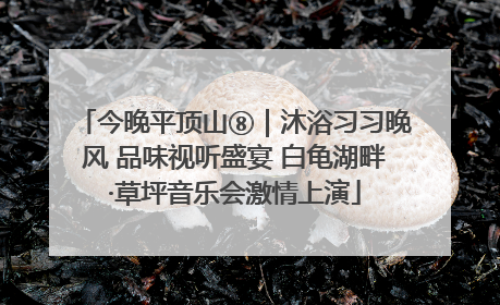 今晚平顶山⑧｜沐浴习习晚风 品味视听盛宴 白龟湖畔·草坪音乐会激情上演