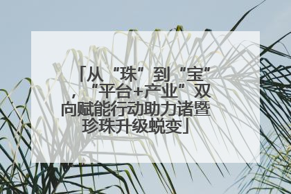 从“珠”到“宝”，“平台+产业”双向赋能行动助力诸暨珍珠升级蜕变