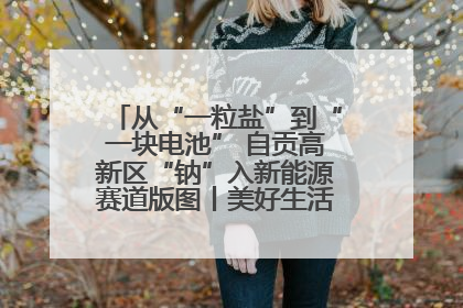 从“一粒盐”到“一块电池” 自贡高新区“钠”入新能源赛道版图丨美好生活有“盐”味
