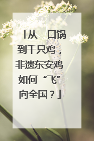 从一口锅到千只鸡，非遗东安鸡如何“飞”向全国？