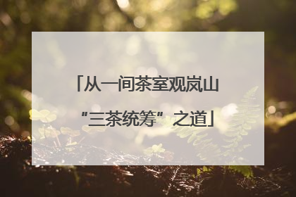 从一间茶室观岚山“三茶统筹”之道
