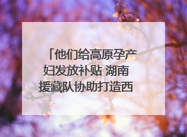 他们给高原孕产妇发放补贴 湖南援藏队协助打造西藏首家高原产儿协同中心