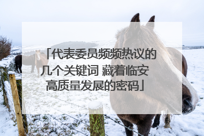代表委员频频热议的几个关键词 藏着临安高质量发展的密码