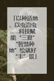 以种适地、以虫治虫……科技赋能“三夏” “智慧种地”绘就好“丰”景