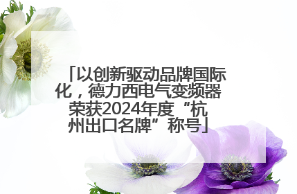 以创新驱动品牌国际化，德力西电气变频器荣获2024年度“杭州出口名牌”称号
