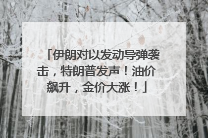 伊朗对以发动导弹袭击，特朗普发声！油价飙升，金价大涨！