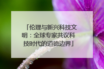 伦理与新兴科技文明：全球专家共议科技时代的道德边界